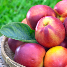 Cargar imagen en el visor de la galería, NECTARINAS FRESCAS DE ESPAÑA