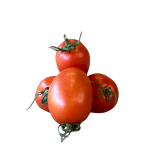 Cargar imagen en el visor de la galería, TOMATE PERA GORDO