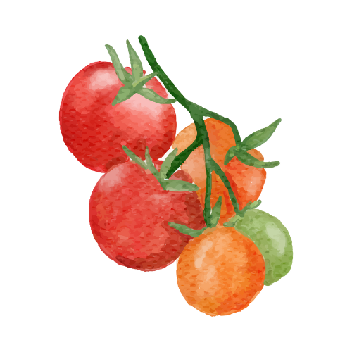 TOMATES