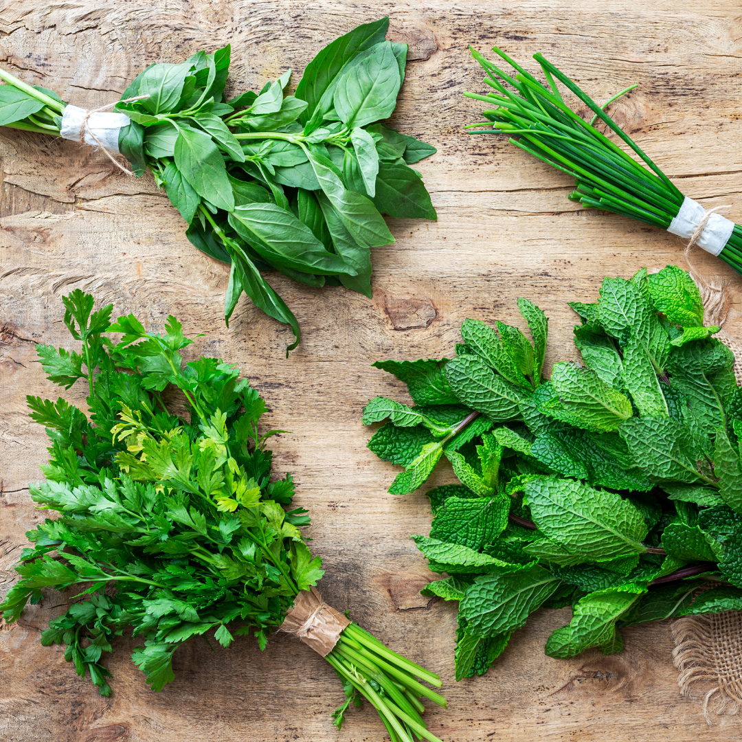 HIERBAS AROMÁTICAS