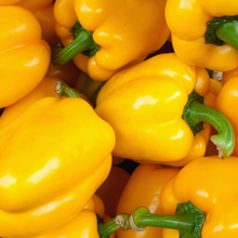 Cargar imagen en el visor de la galería, PIMIENTO AMERICANO AMARILLO
