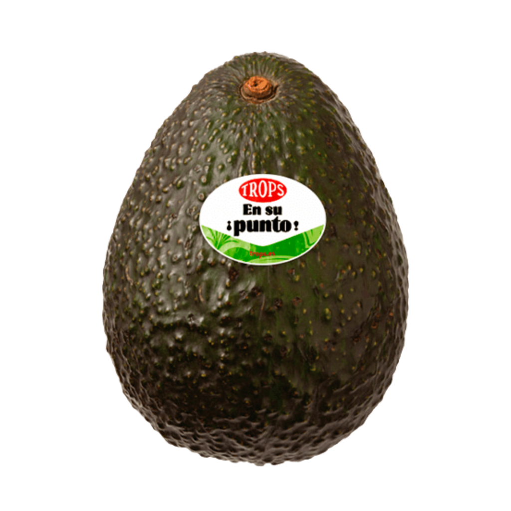 AGUACATE Trops NACIONAL