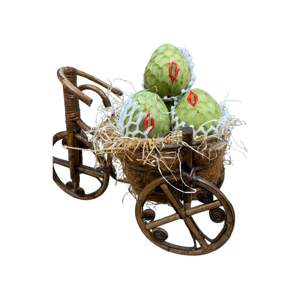 CHIRIMOYA DE LA AXARQUÍA