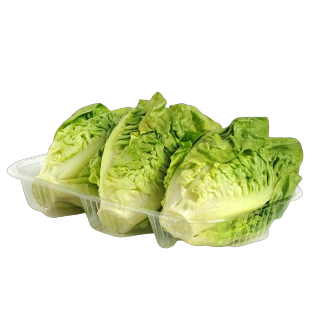 Verduras de Temporada – Frescos