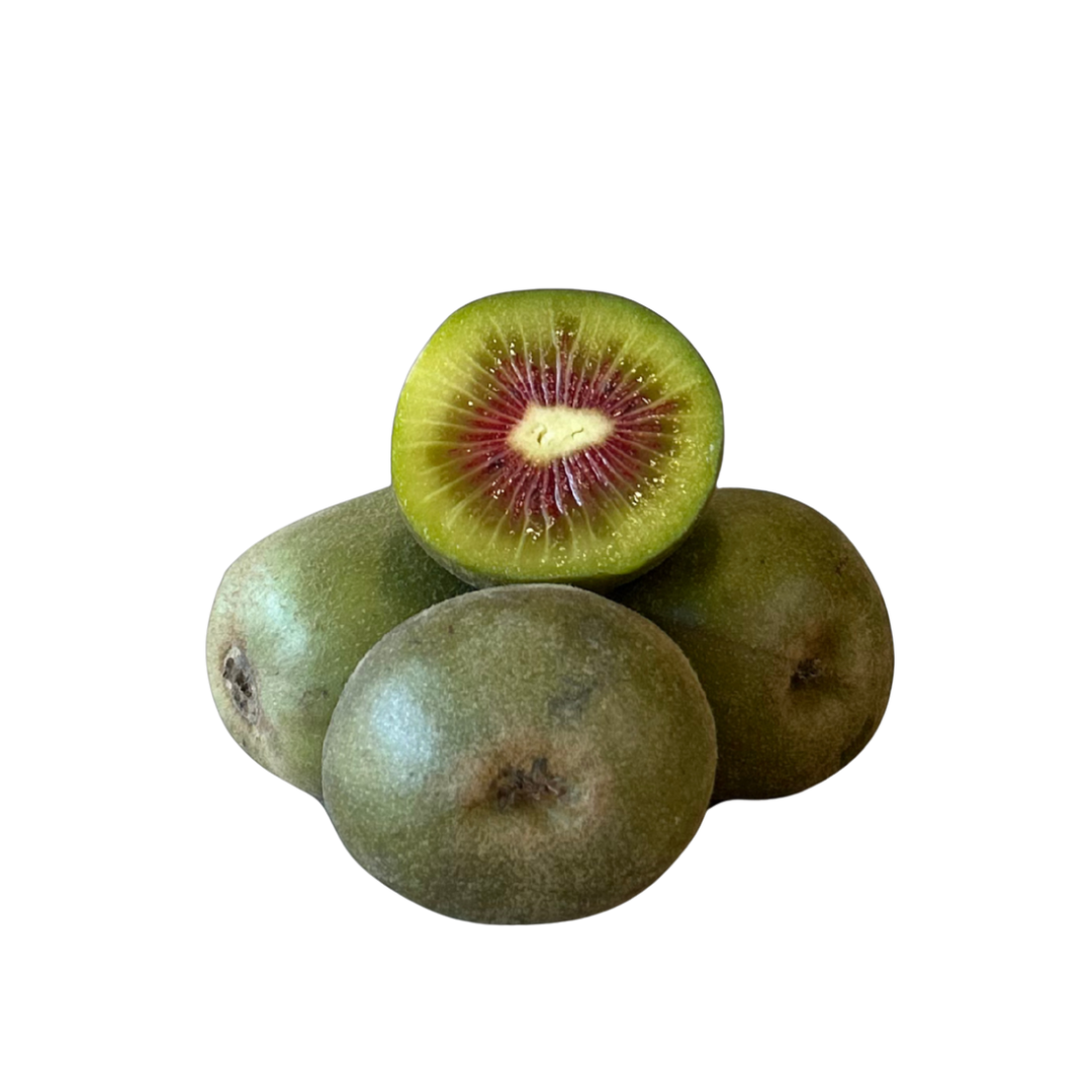 KIWI ROJO