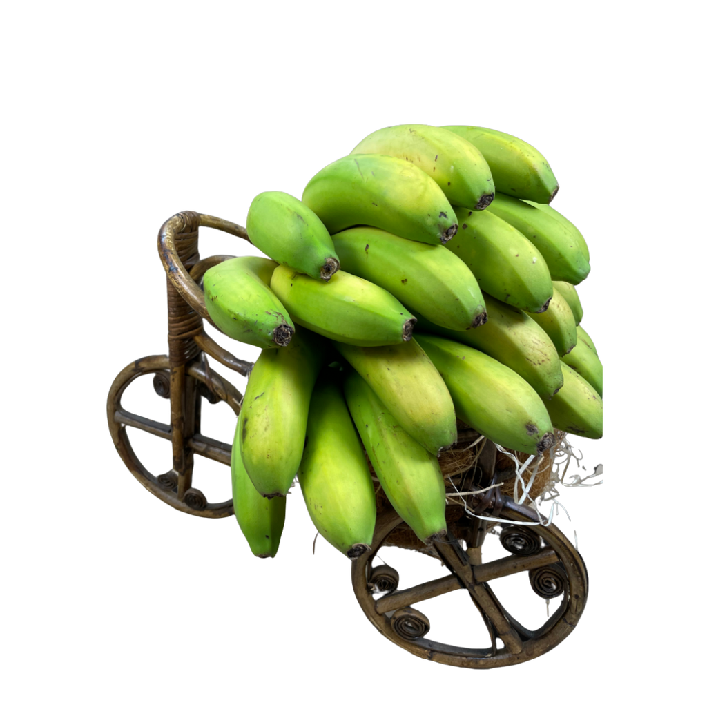 PLÁTANO CANARIAS