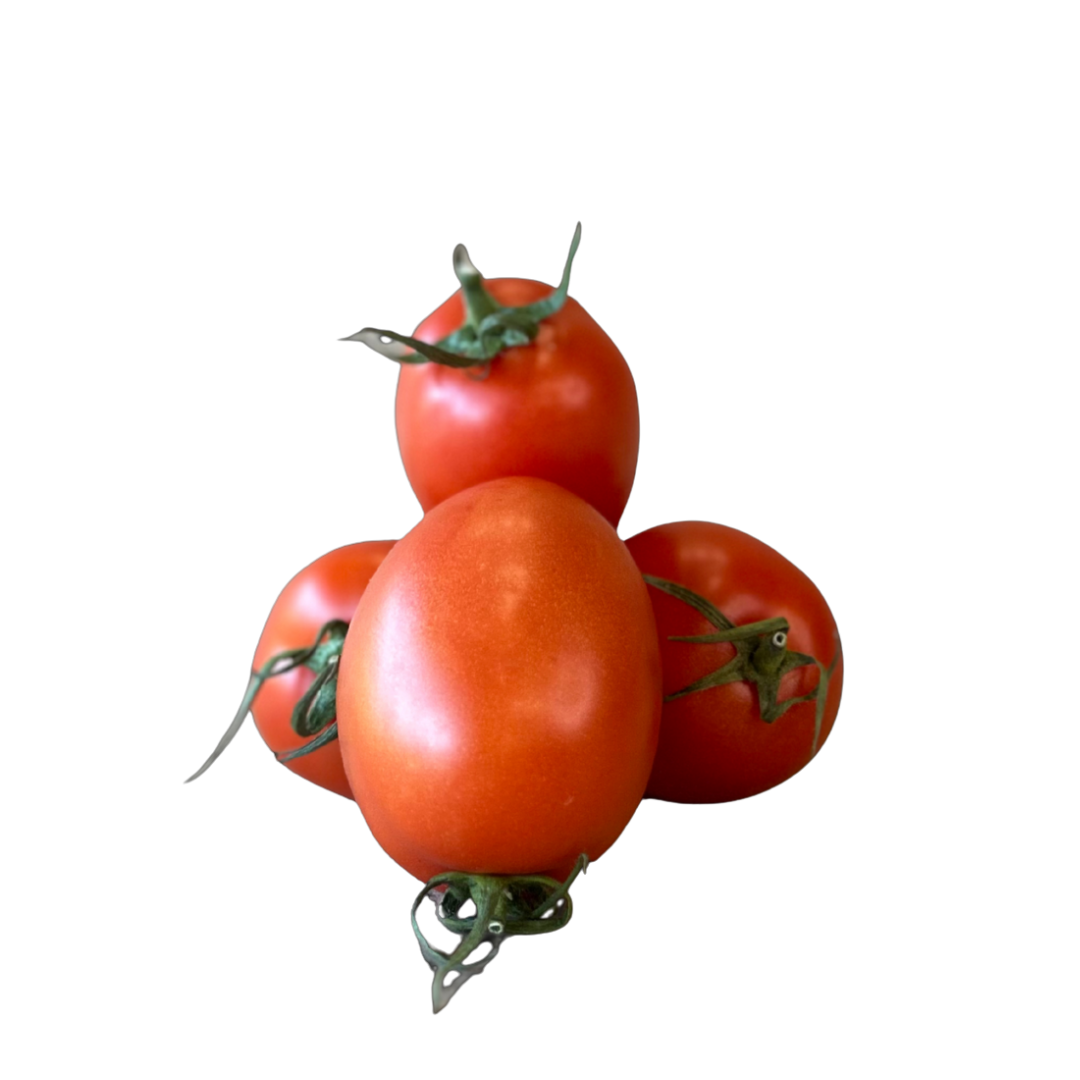 TOMATE PERA GORDO