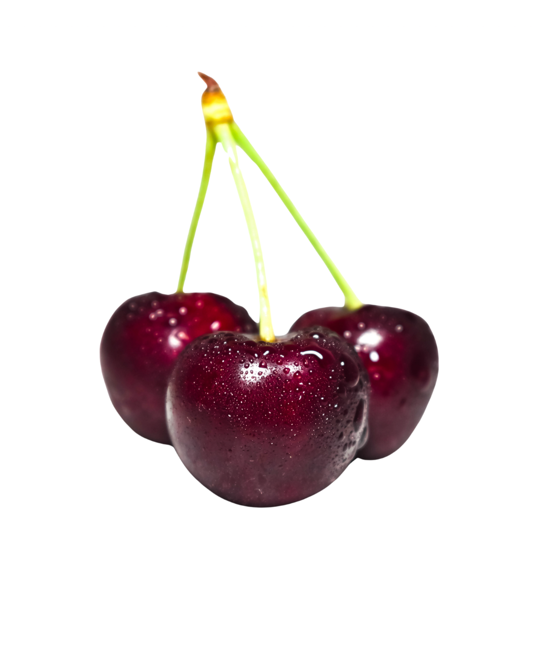 CEREZAS DEL VALLE DEL JERTE