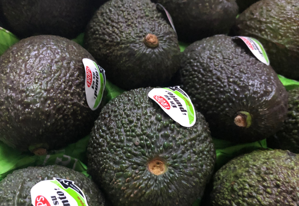 AGUACATE Trops NACIONAL