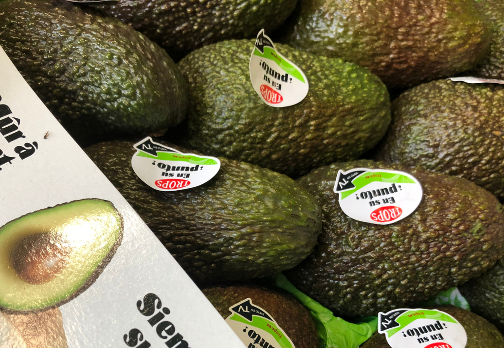 AGUACATE Trops NACIONAL