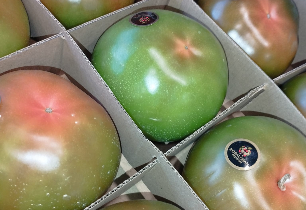 TOMATE DE LOS PALACIOS EXTRA 3,5kg