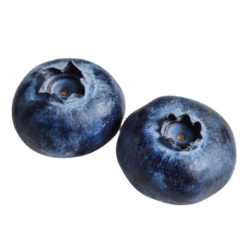 ARÁNDANOS FRESCOS DE HUELVA