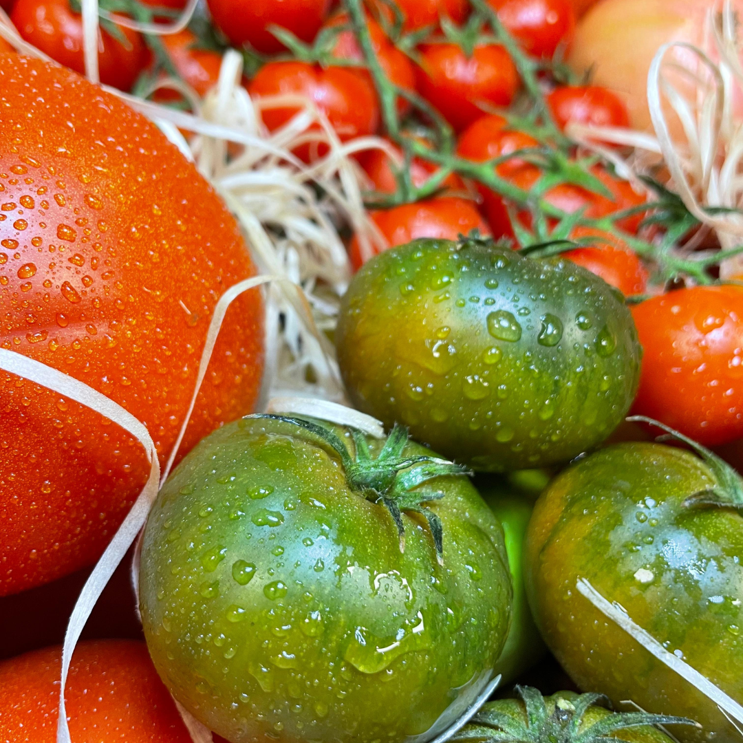 Caja de Tomates Variados Gourmet de Andalucía | Productos Premium | Fruteva