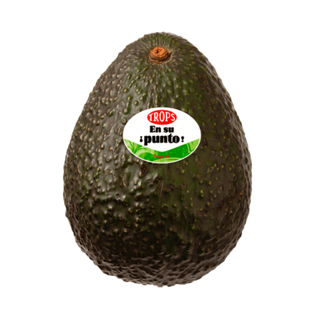 Aguacate Trops Nacional de Fruteva
