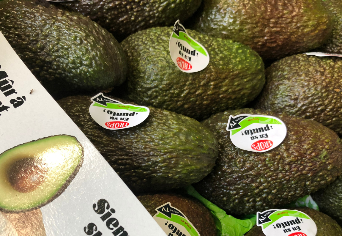 Aguacate Trops Nacional de Fruteva