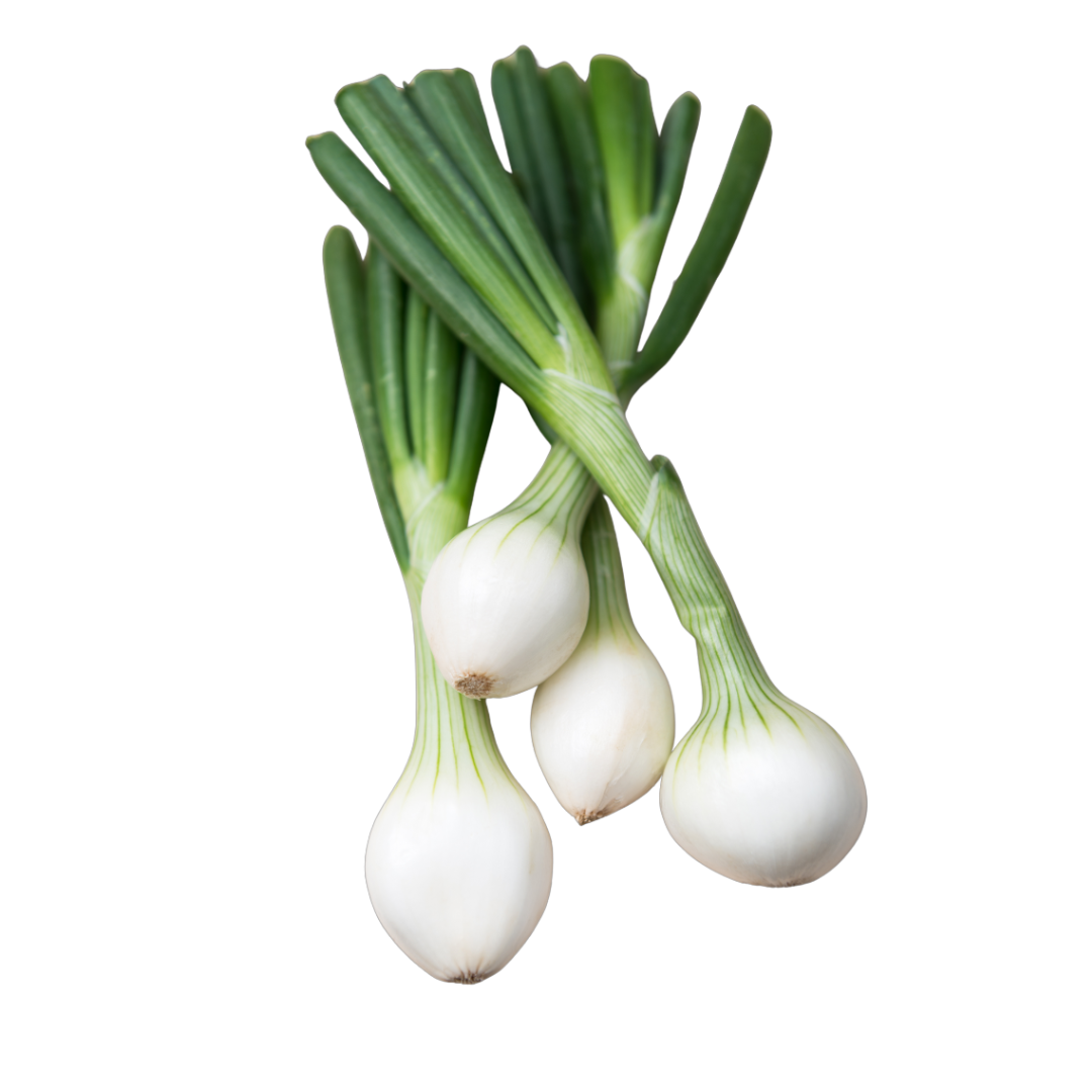 Cebolla fresca de Fruteva