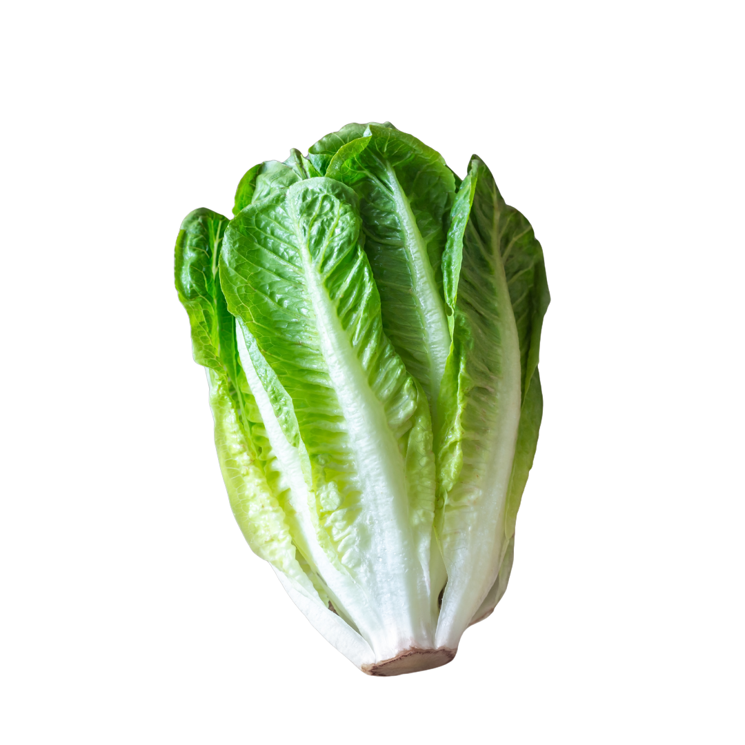 Lechuga de campo de Fruteva
