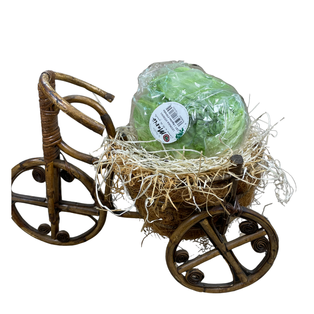 Lechuga iceberg de Fruteva