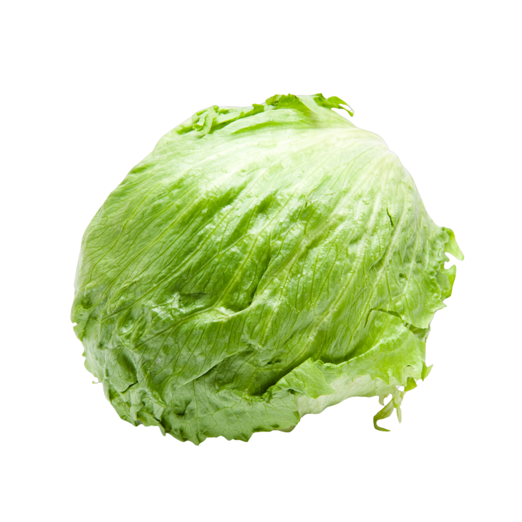 Lechuga iceberg de Fruteva