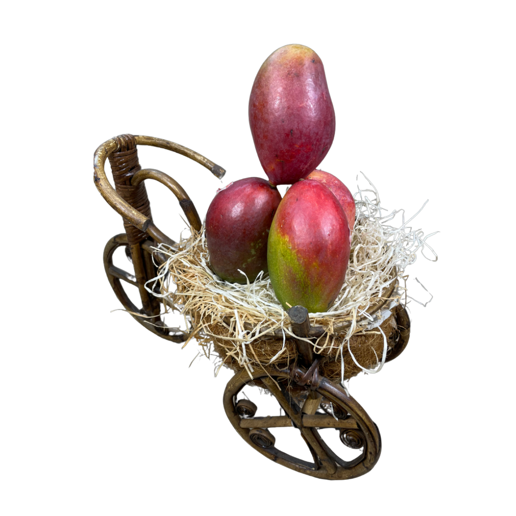 Mango Osil de Fruteva