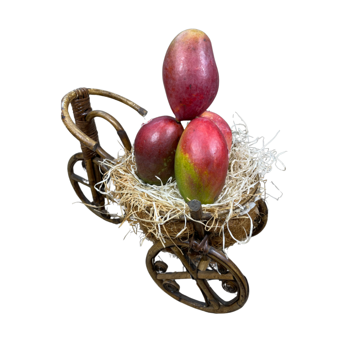 Mango Osil de Fruteva