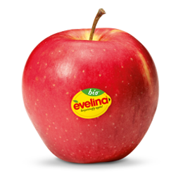 Manzana Evelina de Fruteva