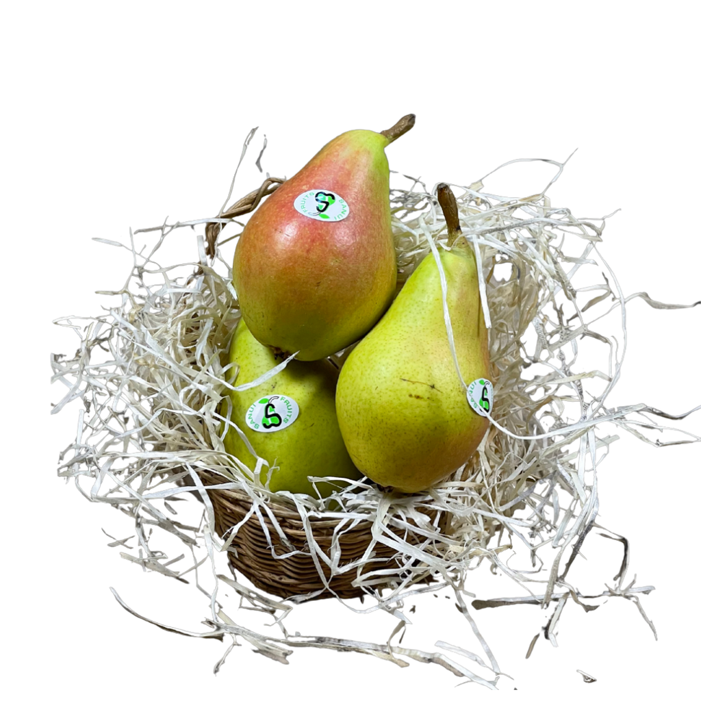 Pera Ercolina de Fruteva