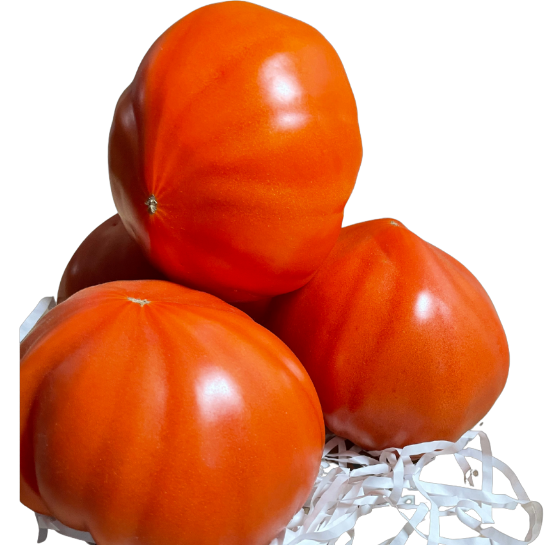 Tomate corazón de buey de Fruteva