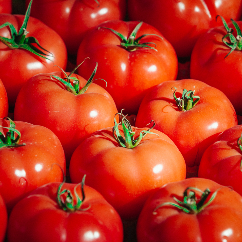 Tomate Daniela de Fruteva