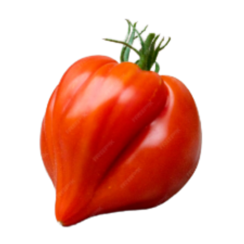 Tomate huevo de toro de Fruteva