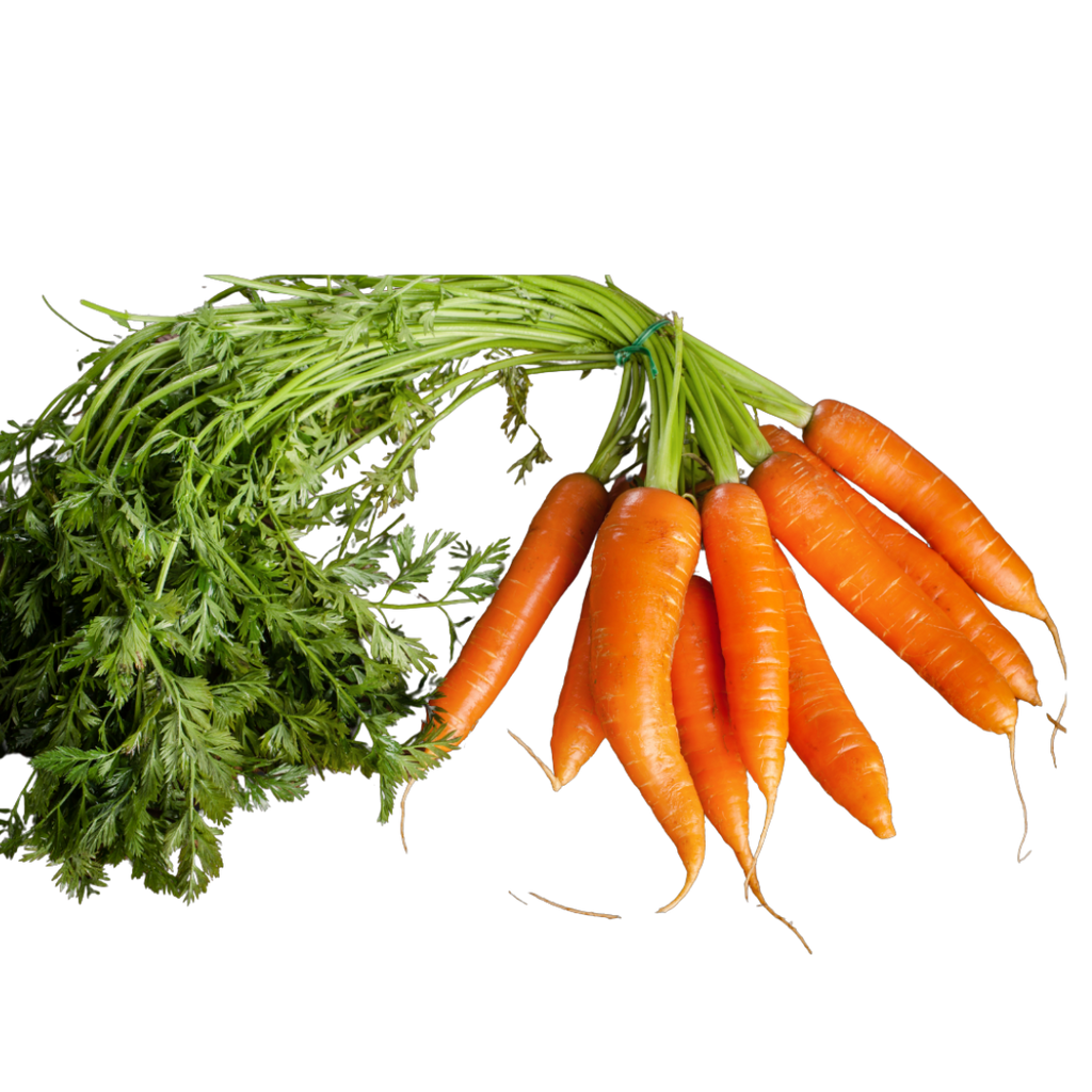 Zanahorias frescas de Fruteva