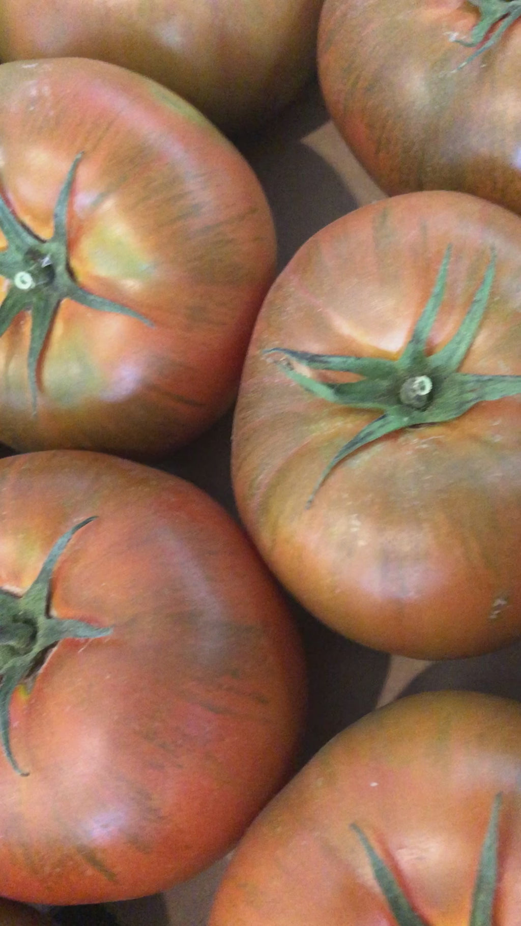 Tomate carbonero
