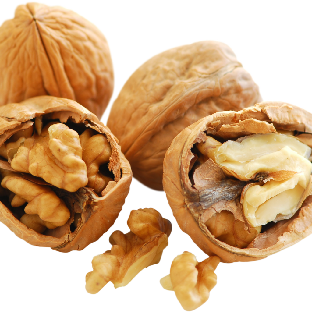 NUECES