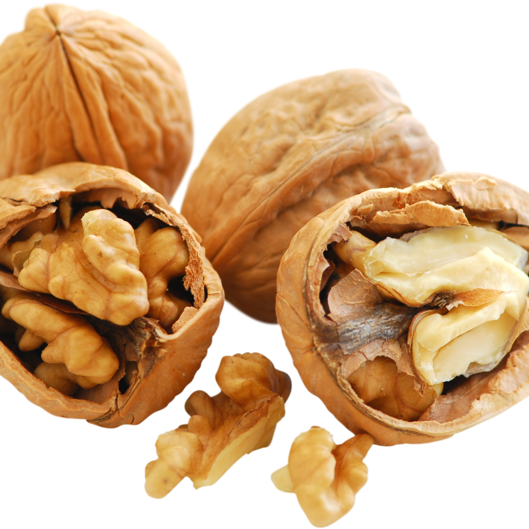 NUECES