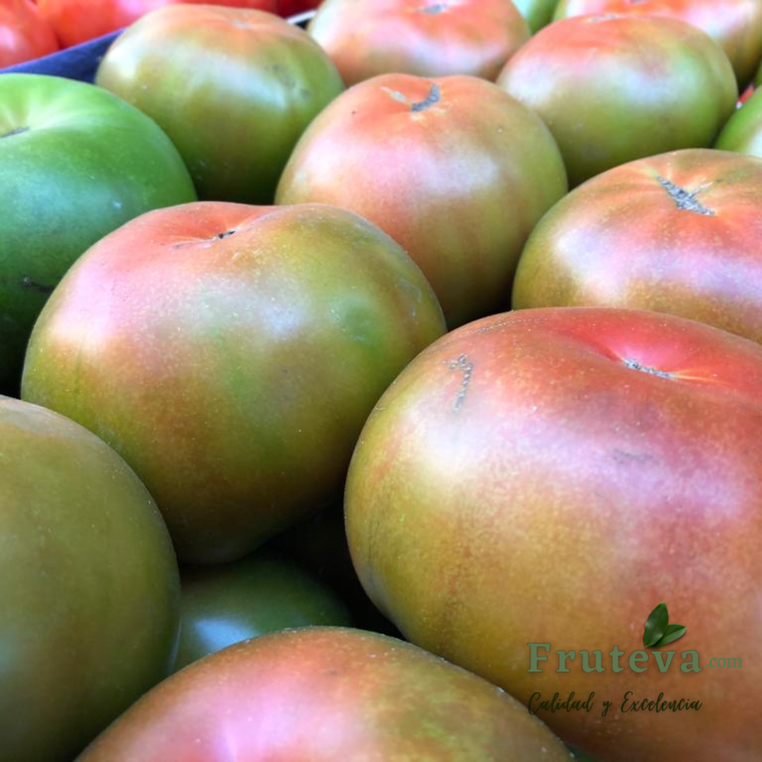 Tomate rojo gordo de Fruteva