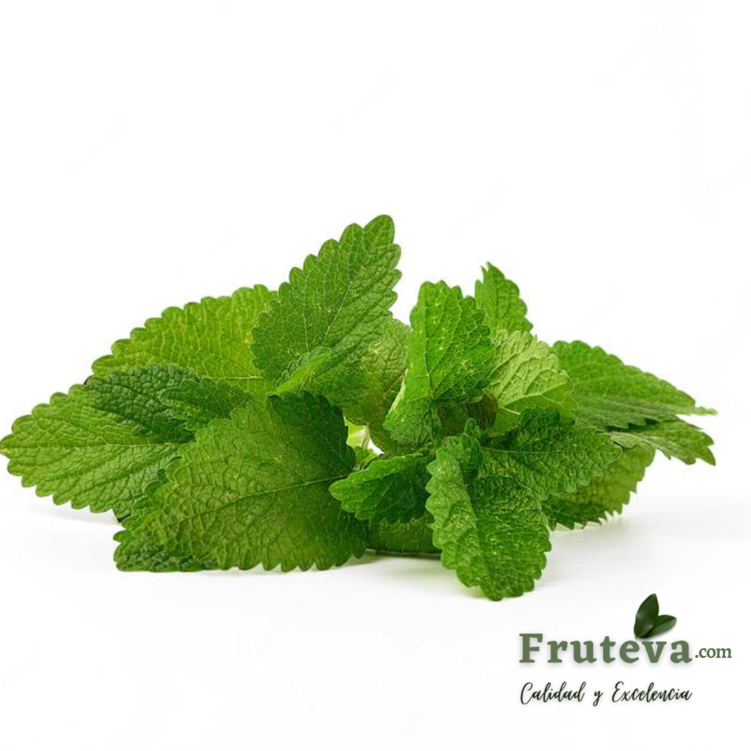 HIERBAS AROMÁTICAS