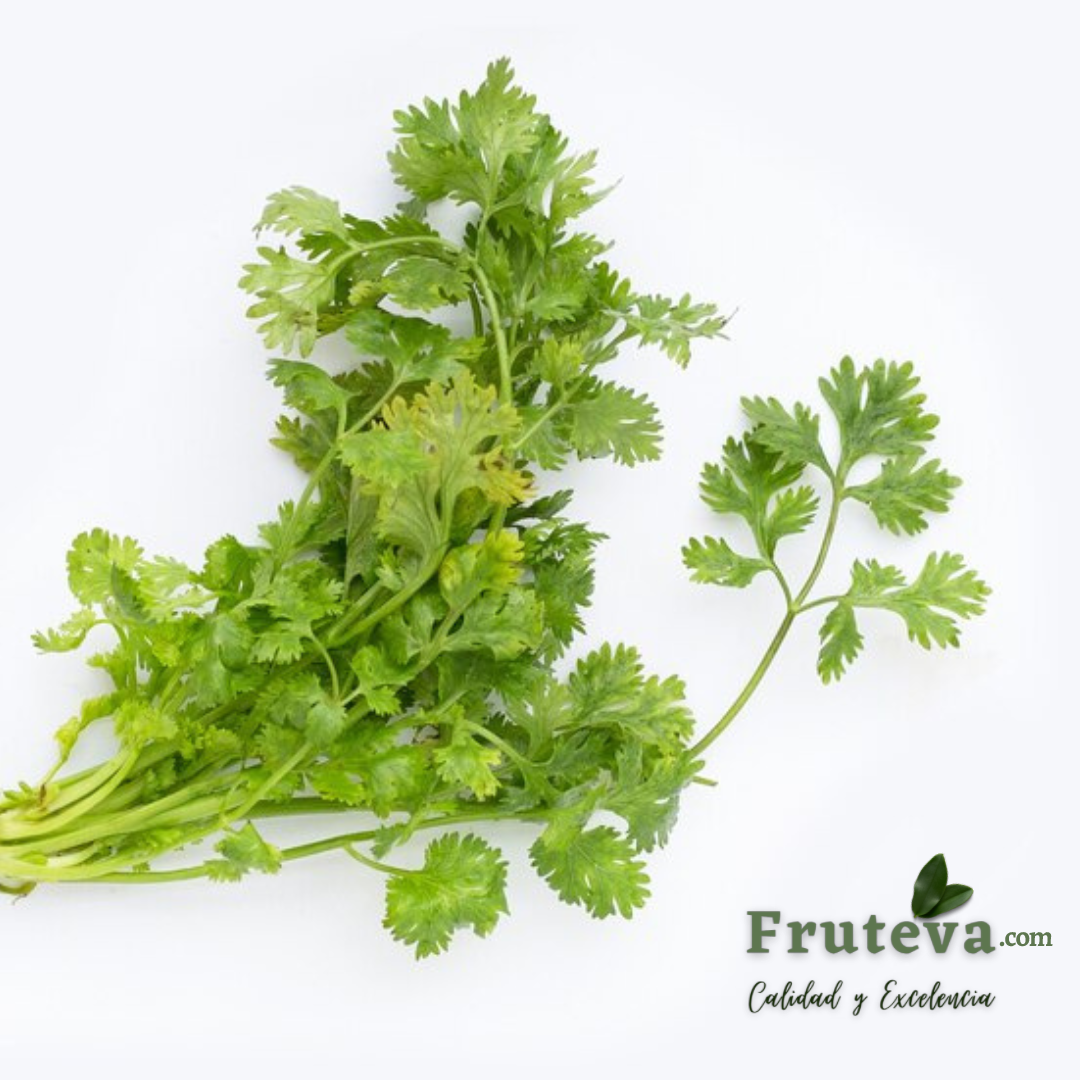 HIERBAS AROMÁTICAS